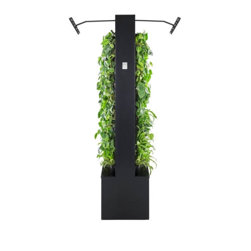 Naava Healthtech Green Wall - 0