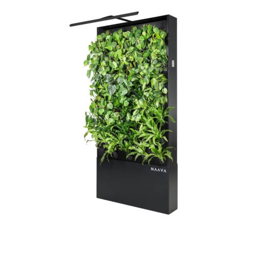 Naava Healthtech Green Wall - 0