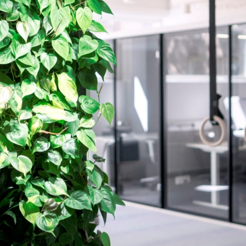 Naava Healthtech Green Wall - 0