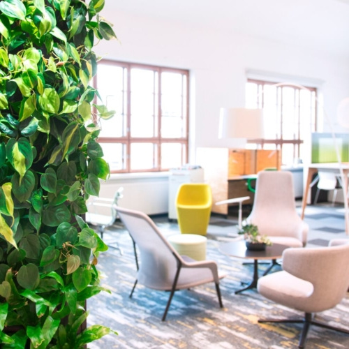 Naava Healthtech Green Wall - 0