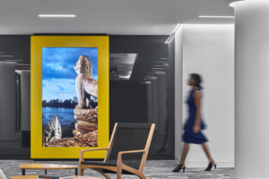 National Geographic Offices - Washington DC