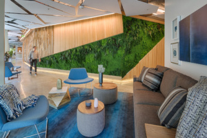 Salt Amenity Space at Google Offices - Mountain View