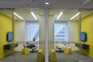 Sheehan Nagle Hartray Architects Offices - Chicago