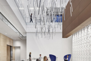 Capital One Offices - Tysons