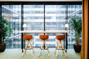 Servier Offices - Moscow