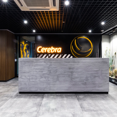 recent Cerebra CPAs & Advisors Offices – Istanbul office design projects