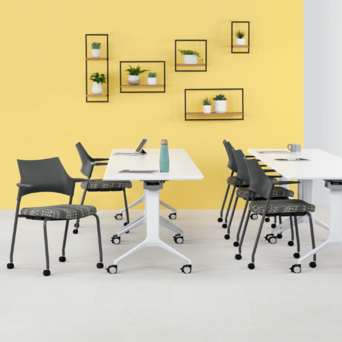 Faction Guest & Nesting - 0