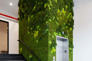 Wirecutter Offices - New York City