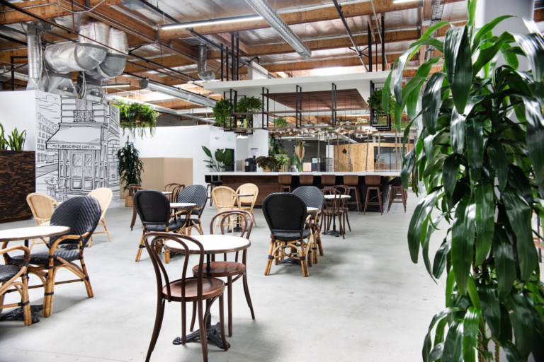 Tubescience Studios Offices - Los Angeles | Office Snapshots