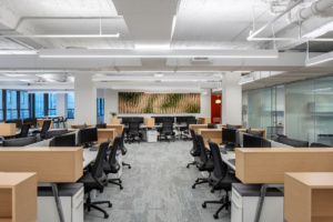 Phoenix MI Offices - New York City