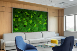 Rossmann Romania Offices - Bucharest