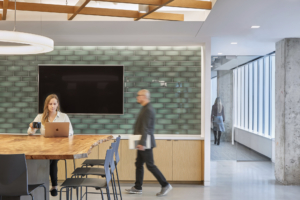 Appian Offices - Tysons Corner