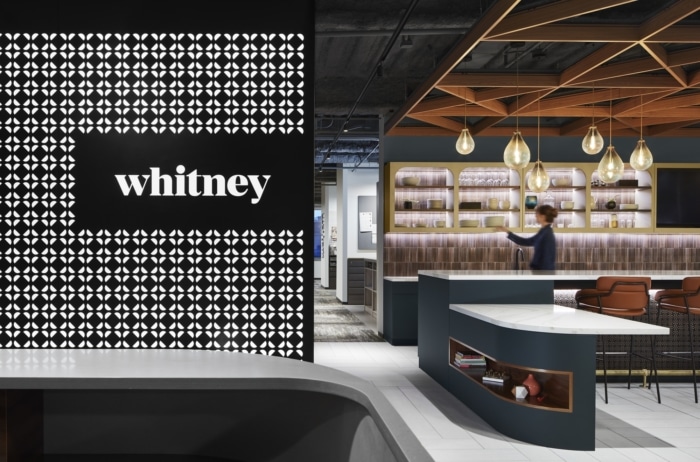 Whitney Architects Offices - Chicago - 1