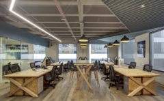 OSB in Altius Offices - Mexico City