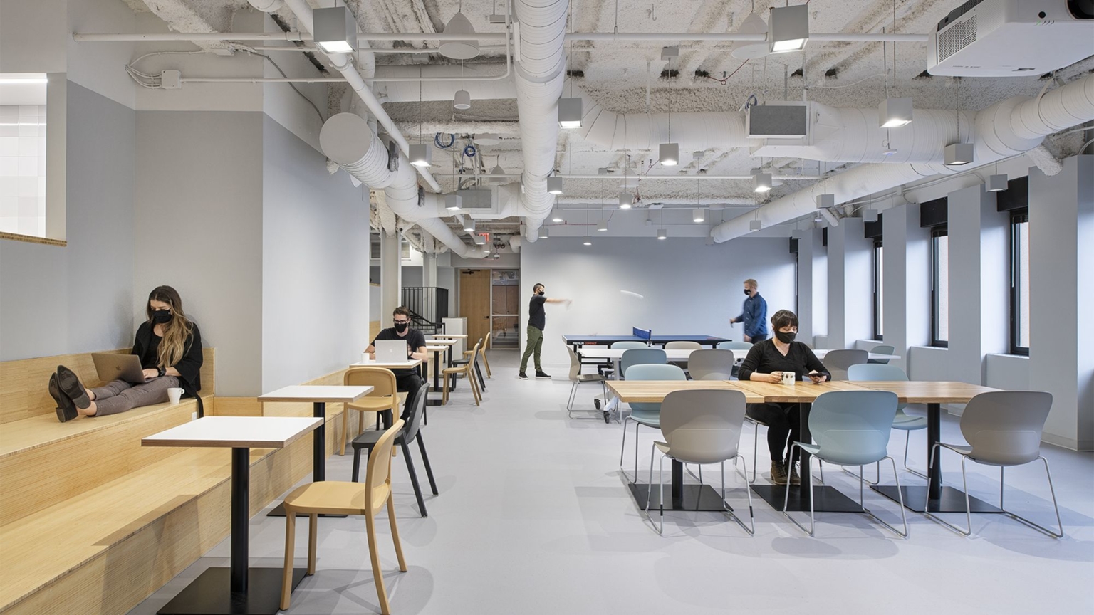 Llamasoft Offices Ann Arbor Office Snapshots