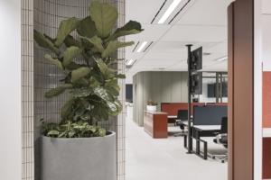 Yancoal Offices - Sydney