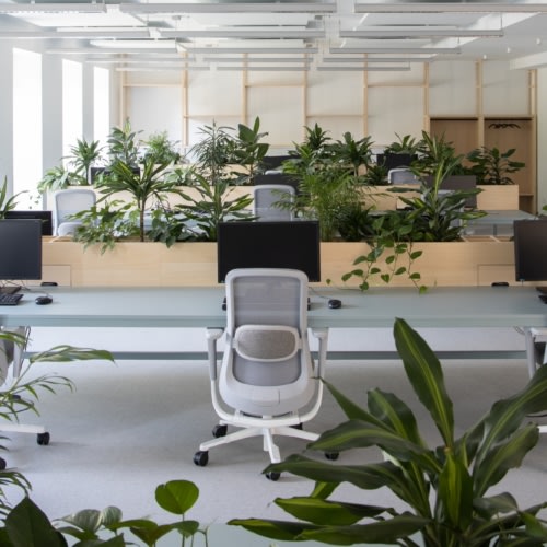 recent Laila Auburger office photography projects