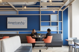 American Agricultural Insurance Company Offices - Schaumburg