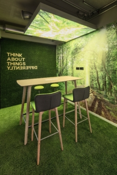 Fake Grass in RTL Audio Center Offices - Berlin