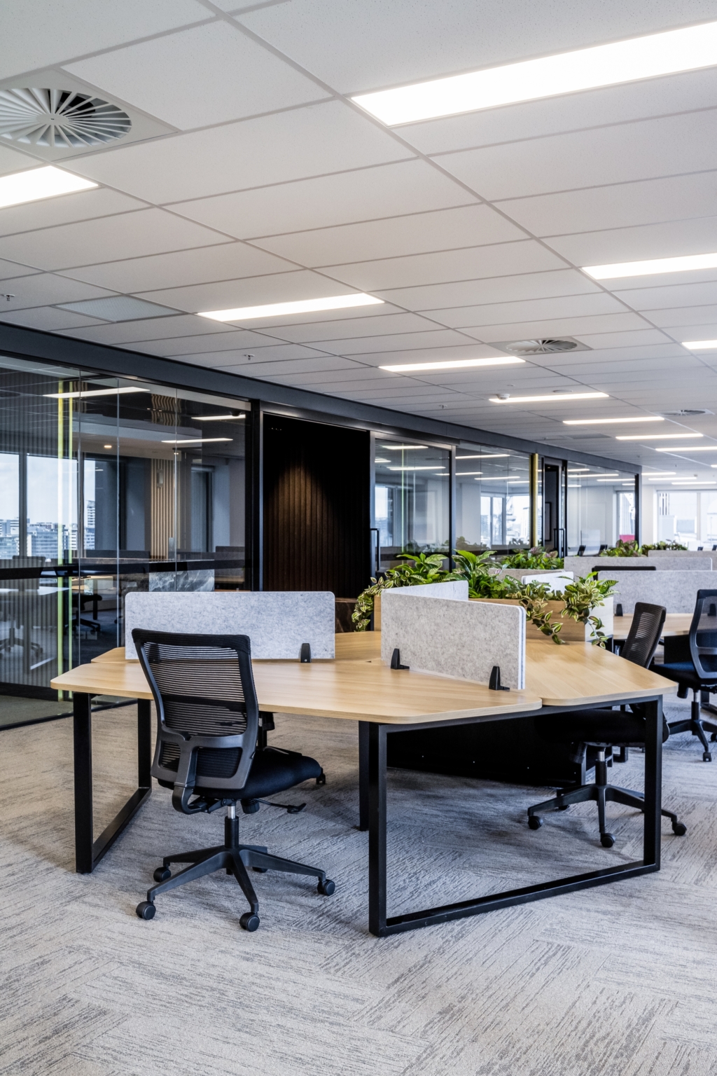 Confidential Client Offices - Brisbane 