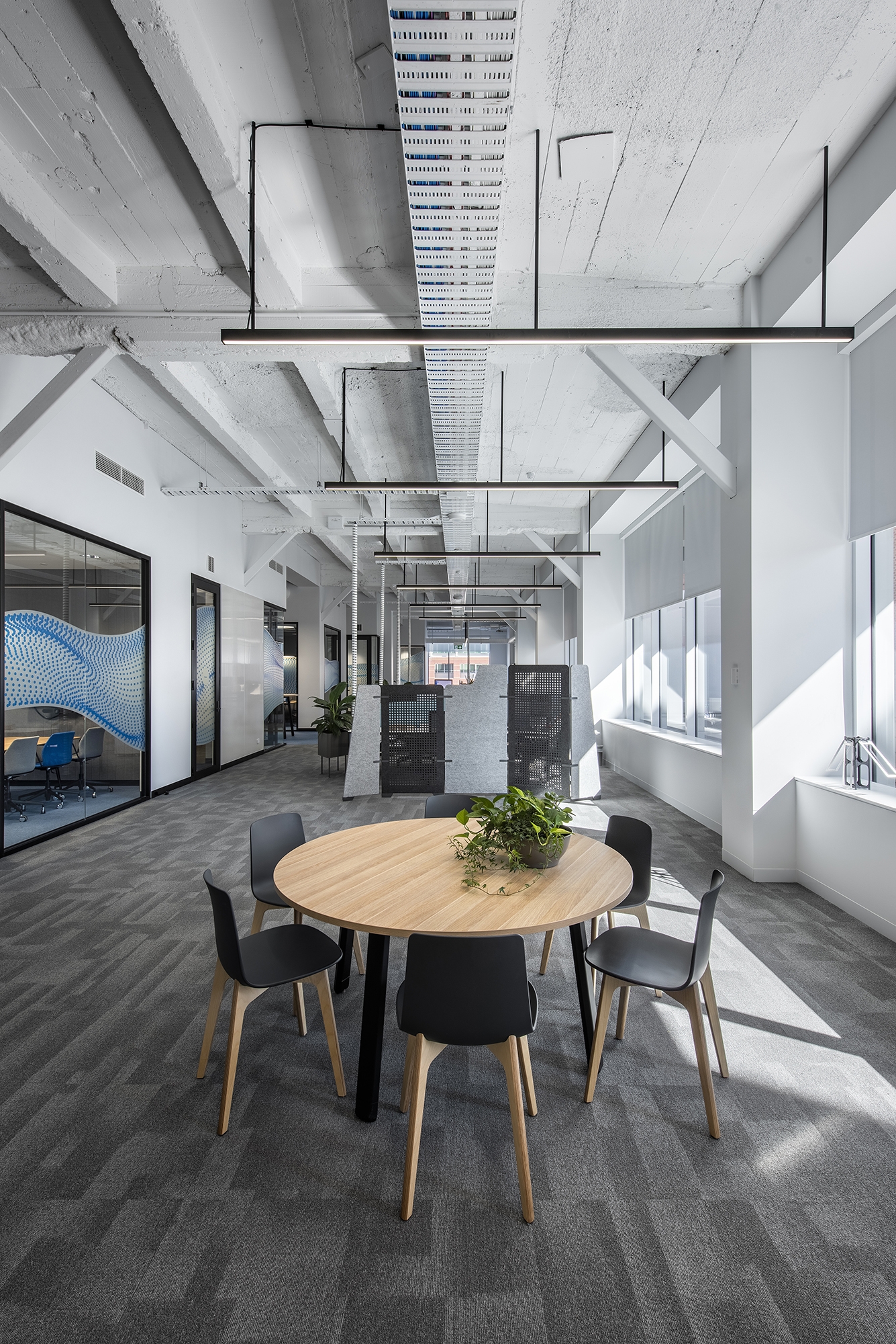 Myriota Offices Adelaide Office Snapshots