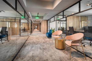 Entract 127 Coworking Offices - Sofia