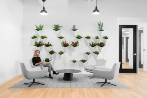 Avanir Pharmaceuticals Offices - Aliso Viejo