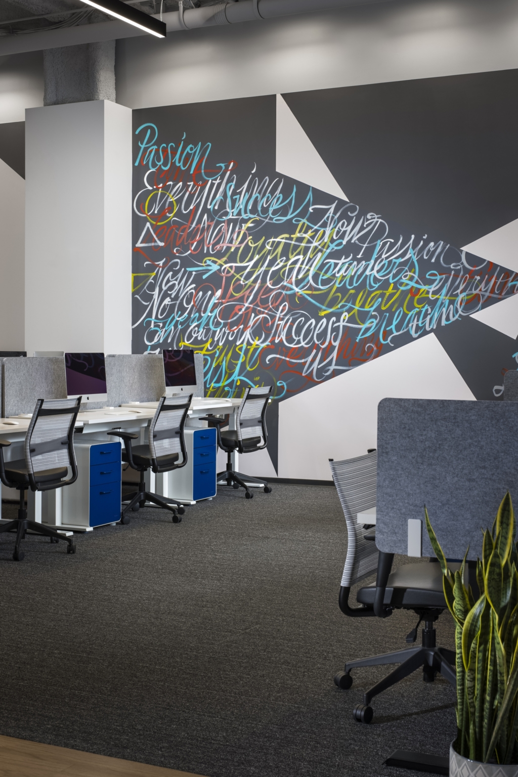 Doctor Multimedia Offices - San Diego | Office Snapshots