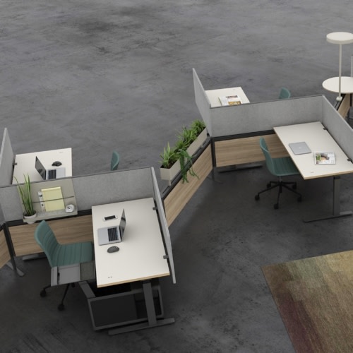 Edison Collection - 0