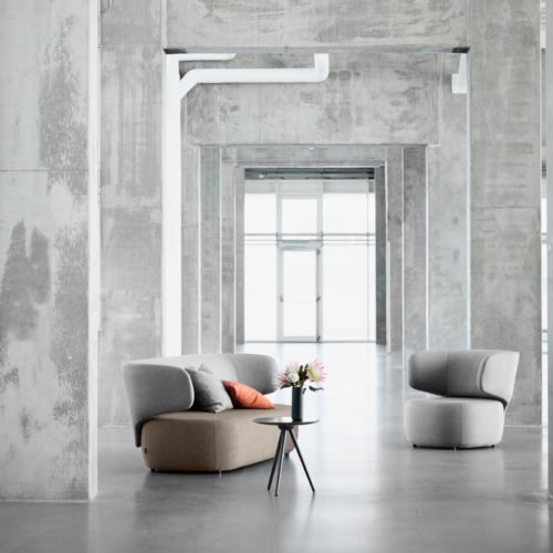 Softline Basel Office Snapshots