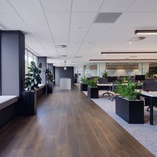 recent MoneyMe Offices – Sydney office design projects