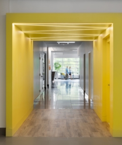 Stone Tile in Global Medical Technology Company Offices - Andover