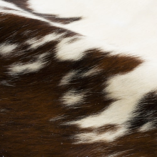 Specialty Leathers - 0