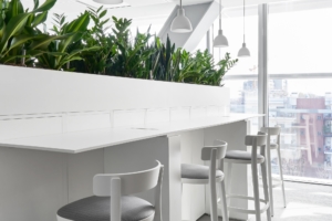 UCB Pharma Offices - Milan