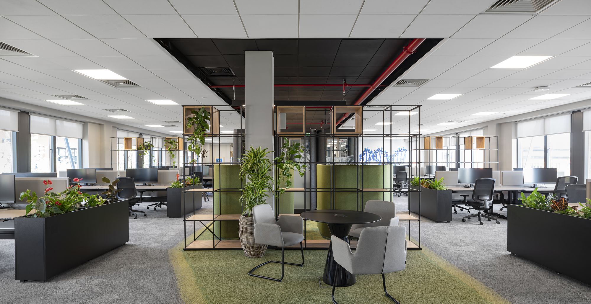 Confidential Pharmaceutical Client Offices - Dublin | Office Snapshots