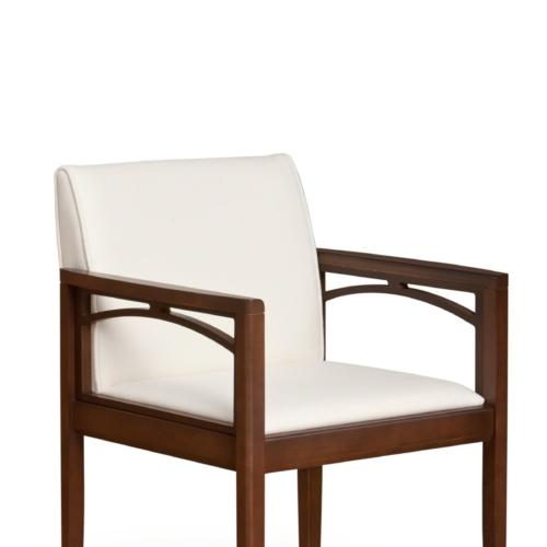 Collaboration Guest Chair - 0