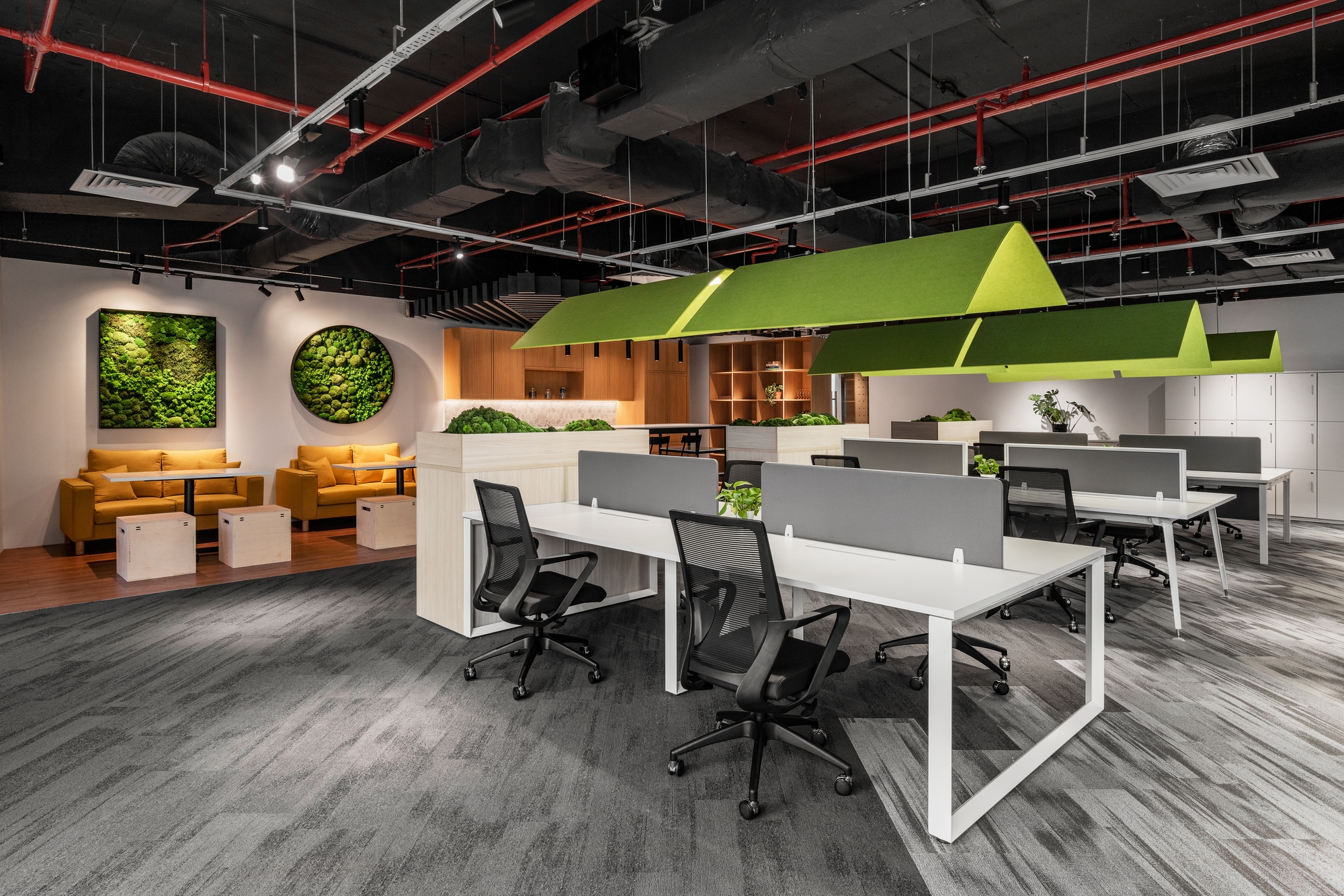 Experimental Oasis Showroom and Offices - Kuala Lumpur | Office Snapshots