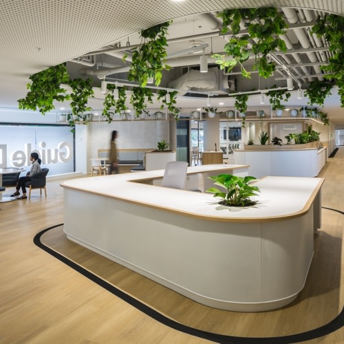 recent Guide Dogs Offices – Sydney office design projects
