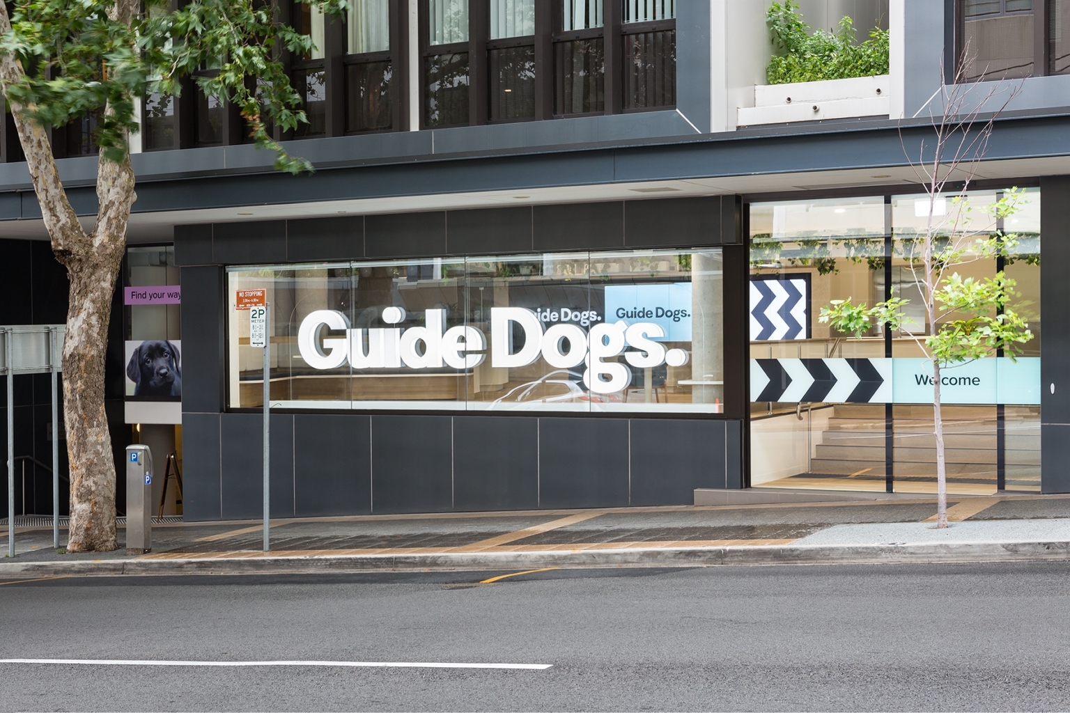 Guide Dogs Offices Sydney Office Snapshots