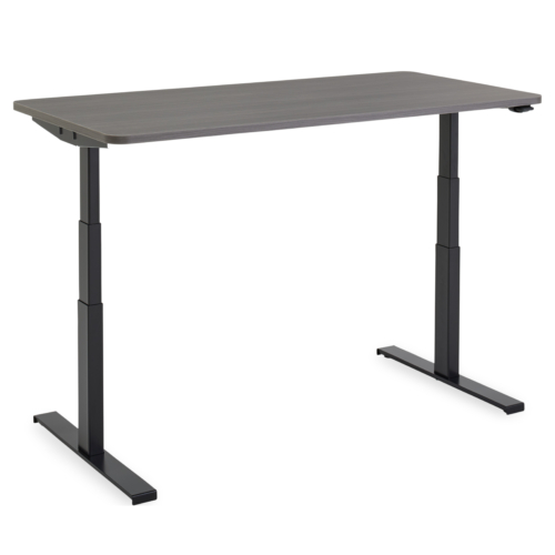 Solo Sit-to-Stand Desk - 0