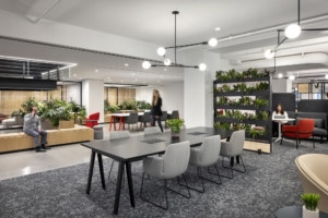 JLL Offices - New York City
