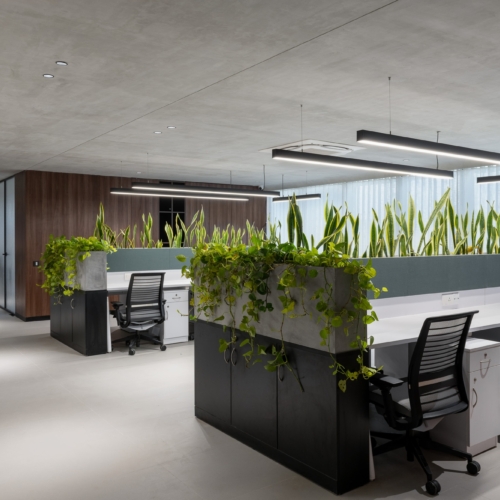 recent Molkem Chemicals Offices – Ahmedabad office design projects