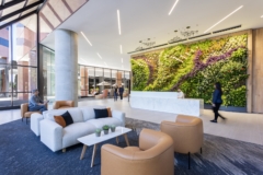 Lighting in Santa Clara Towers Lobby & Amenity Spaces - Santa Clara