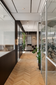 Recessed Downlight in Reline Offices - Israel