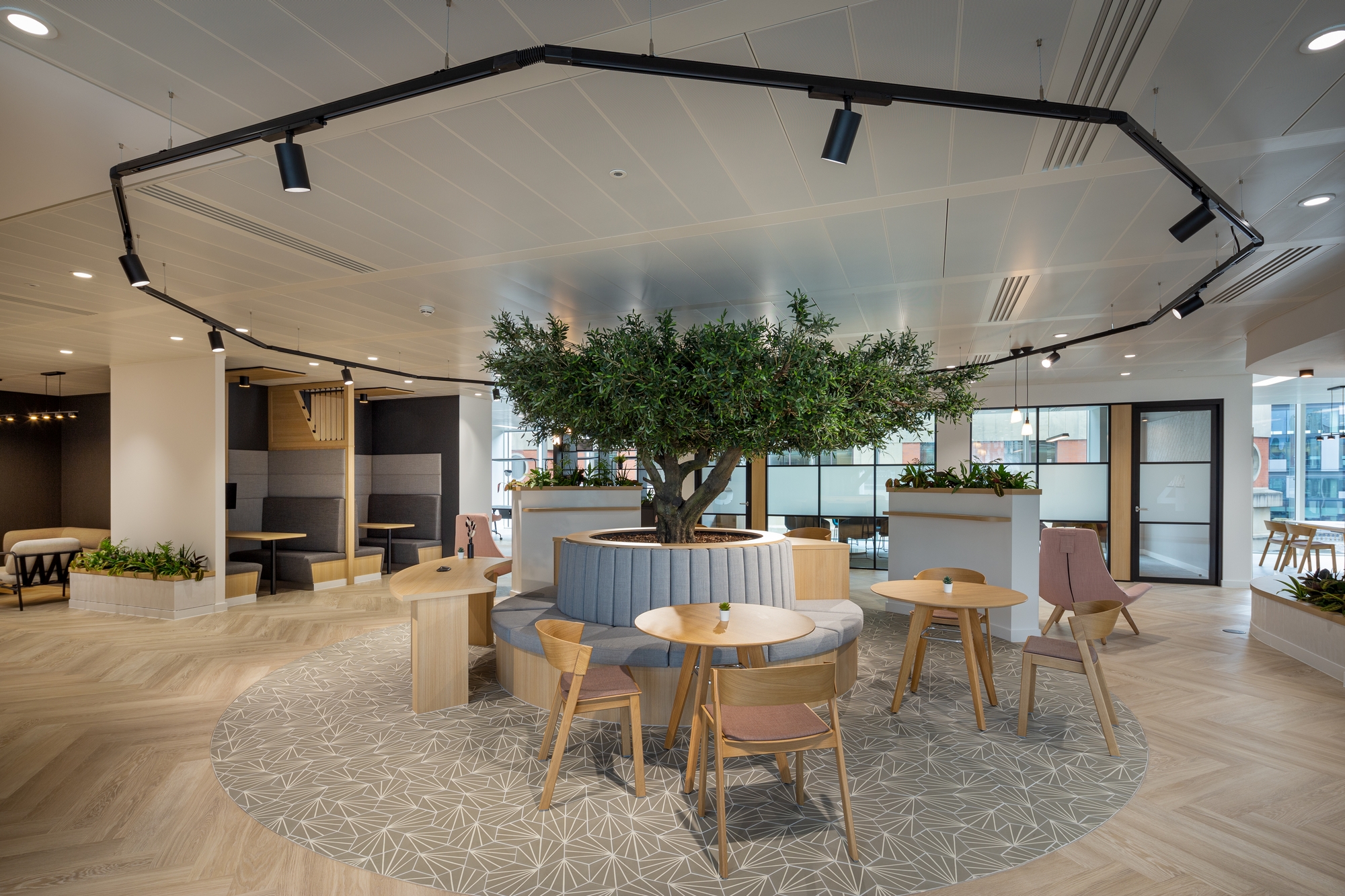 Avison Young Office Design Projects | Office Snapshots