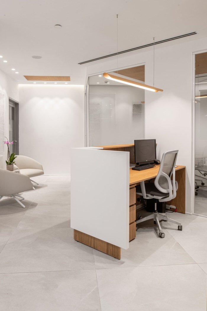 Confidential Law Firm Offices - Ramat Gan - 2