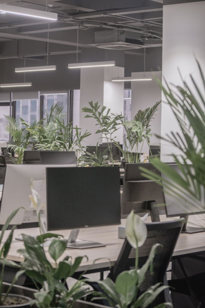 DARAZ Offices Kathmandu Office Snapshots