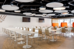 Acoustic Ceiling Panel in BPI Offices - Lisbon