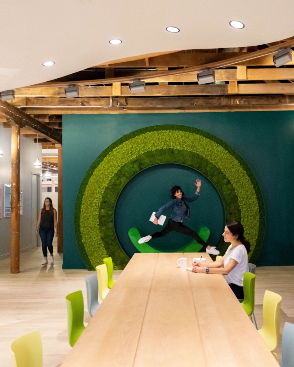 Ollie office