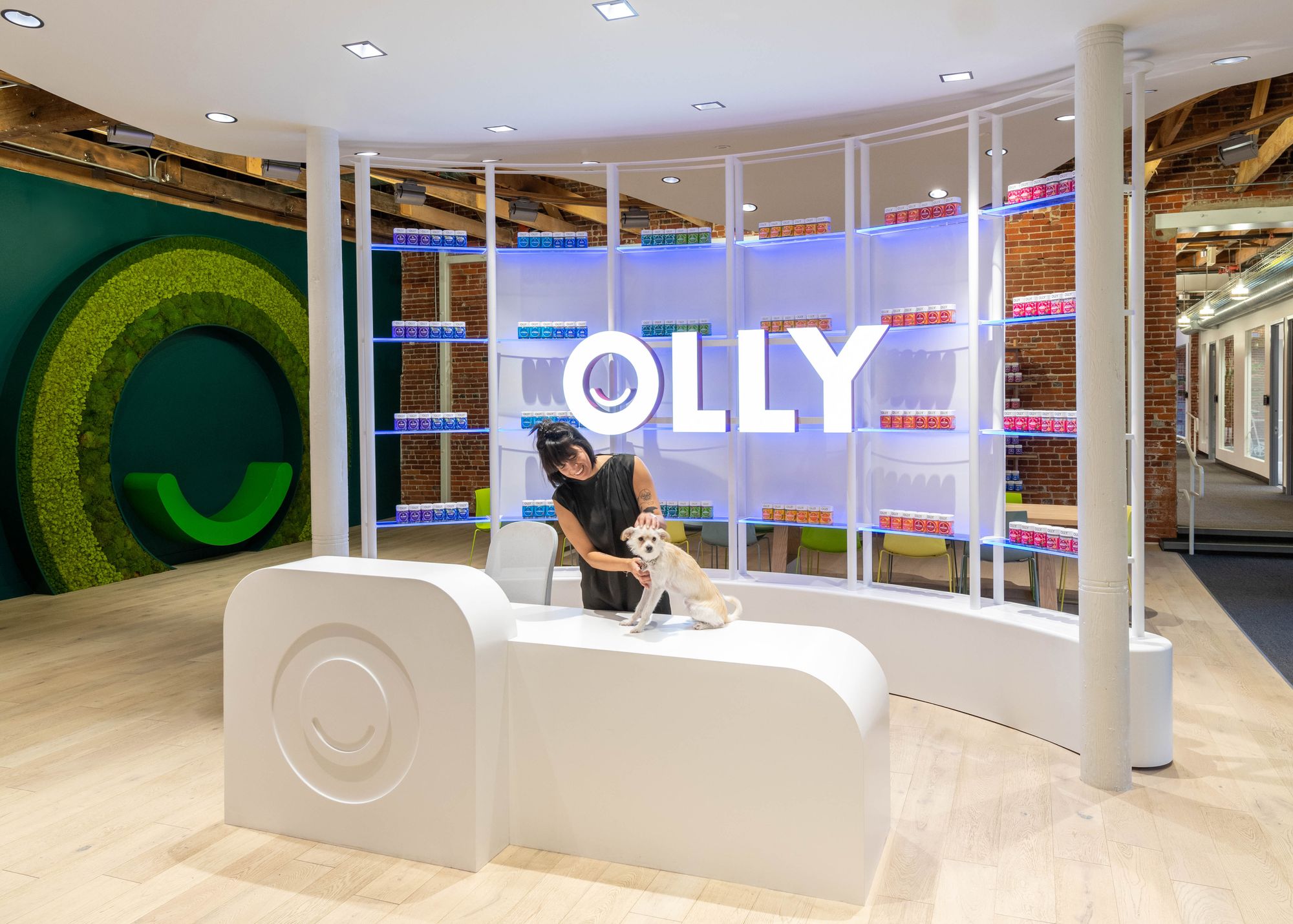 Ollie office
